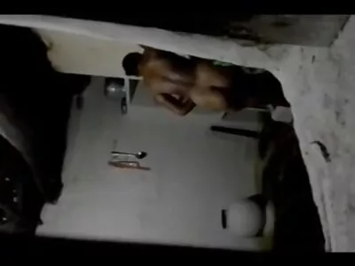 Cock Of Duty៖ សំណើច XXX